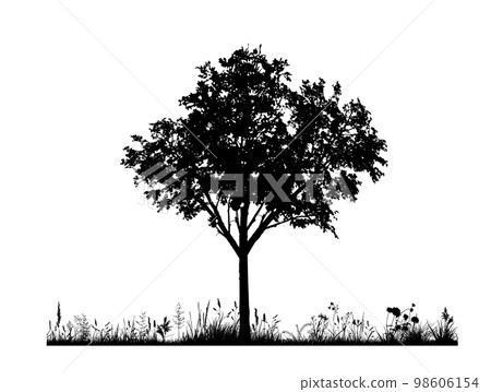 Vector silhouette of meadow on white background. Symbol of nature with grass and tree. 98606154