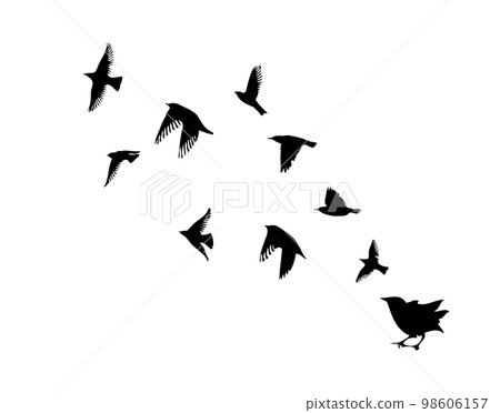 A flock of flying birds. Free birds. Vector illustration A flock of flying birds. Free birds. Vector illustration 98606157