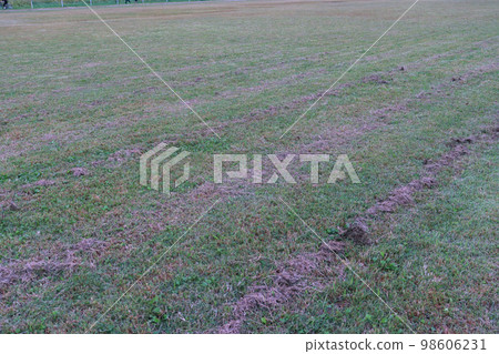 Lawn material (Tamagawa Children's Park Side A soccer field) 98606231