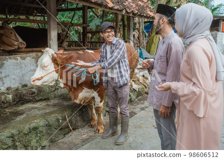 the male farmer showing the cow to the moslem man and woman the male farmer showing the cow to the moslem man and woman 98606512