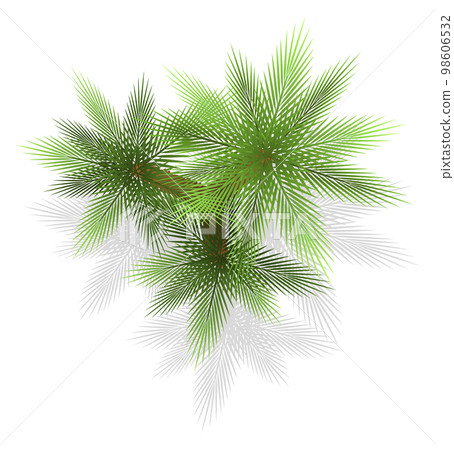 Green bushes for landscape plan. Plants top view Green bushes for landscape plan. Plants top view 98606532