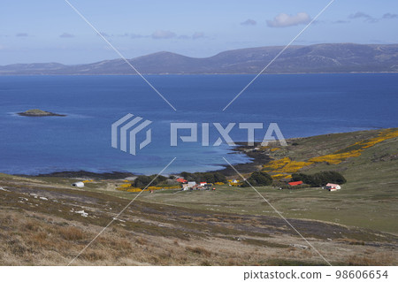 Carcass Island Settlement 98606654