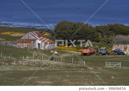 Carcass Island Settlement 98606656