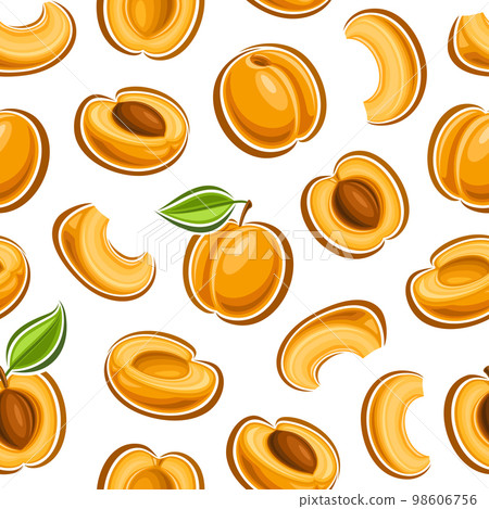 Vector Apricot Seamless Pattern Vector Apricot Seamless Pattern 98606756