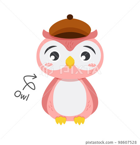 Owl bird cartoon characters with clothes . Vector . Owl bird cartoon characters with clothes . Vector . 98607528