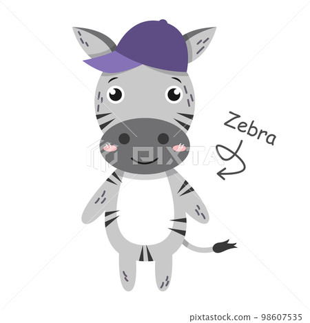 Zebra cartoon characters with clothes . Vector . Zebra cartoon characters with clothes . Vector . 98607535