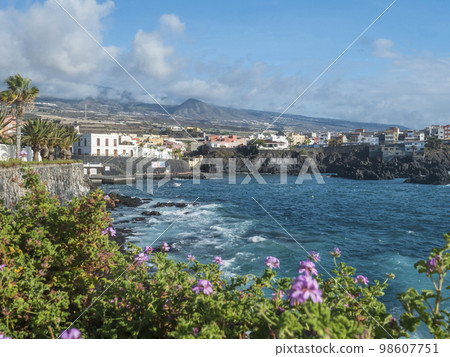 Views of the picturesque Alcala village with traditional architecture houses, small tranquil cove with beach and pier. Pink flowers in foreground, selective focus. Tenerife, Canary Islands, Spain Views of the picturesque Alcala village with traditional architecture houses, small tranquil cove with beach and pier. Pink flowers in foreground, selective focus. Tenerife, Canary Islands, Spain 98607751