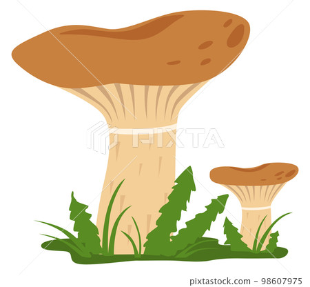 Growing mushroom in nature. Milk agaric cartoon icon 98607975