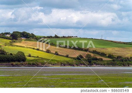 The seabed at low tide. The hilly shore of the sea bay. Lots of green algae on the open seabed, landscape. 98608549