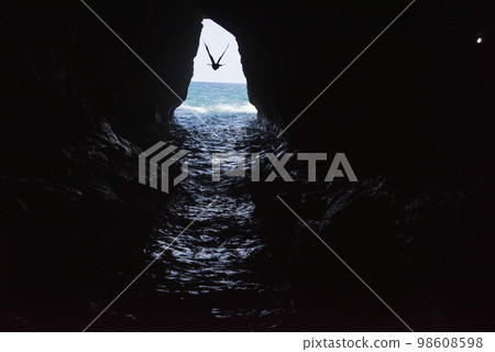 Rosh Hanikra grottoes rocks and caves famous nature tourist site (attraction) in north-western Israel (Galilee region), near Nahariya, in Mediterranean Sea. geological creation in coastline (shore). 98608598