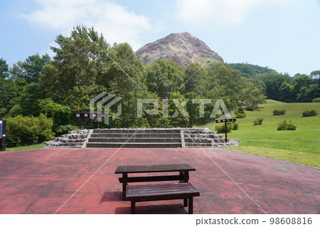 昭和新贊 98608816