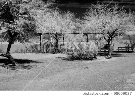 Picnic Area and Table Infrared 98609027
