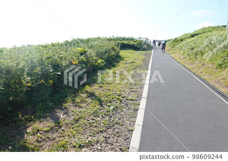 Kamiaki Kamiaki 98609244