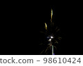 Fireworks display night in London, United Kingdom 98610424