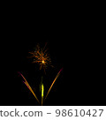 Fireworks display night in London, United Kingdom 98610427