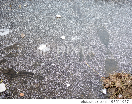 Frozen water. The water surface is covered with ice Frozen water. The water surface is covered with ice 98611087