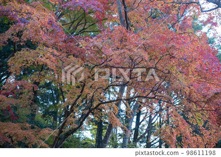白岩山、白羊寺 白岩山、白羊寺 98611198