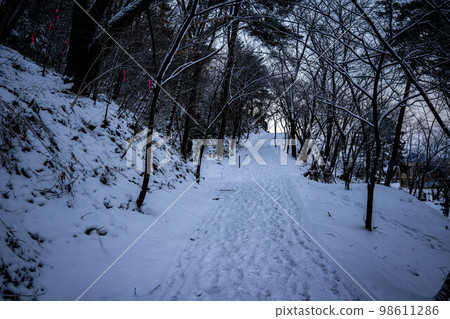 若木山公園的遠足徑 98611286