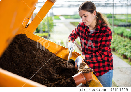 Woman farmer puts a soil in pots 98611539
