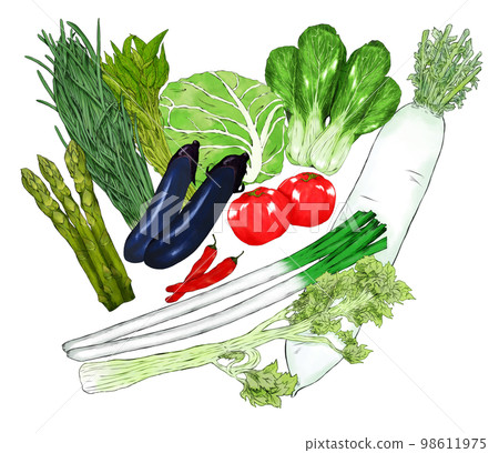 Illustration material set of green and yellow vegetables Illustration material set of green and yellow vegetables 98611975