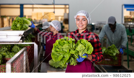 Portrait of a young smiling woman worker with Peking cabbage 98612025