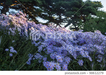 Bongcheonsa Temple, Gaemichwi 98612279