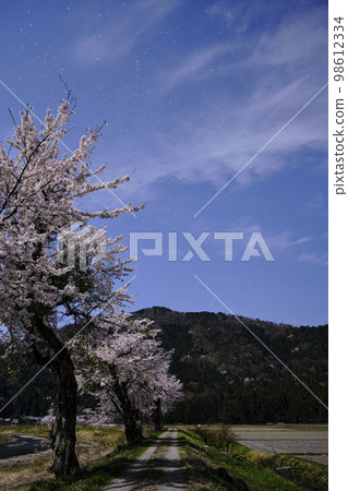 風景素材春天陽光明媚的日子里美麗的櫻花和雪花 風景素材春天陽光明媚的日子里美麗的櫻花和雪花 98612334