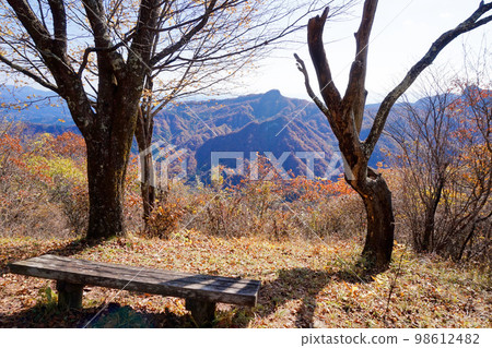 The summit of Mt. Takakura [Kurabuchi Town, Takasaki City, Gunma Prefecture] 98612482