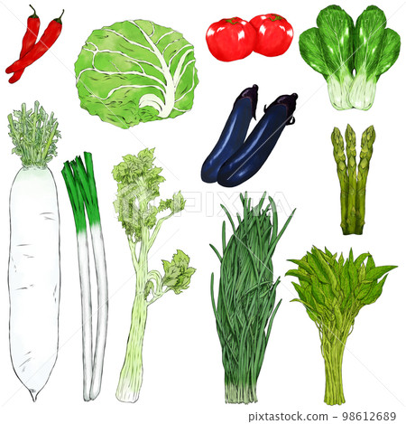 綠色和黃色蔬菜的插圖素材 98612689