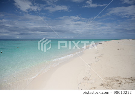 陽光明媚的南方風景 98613252