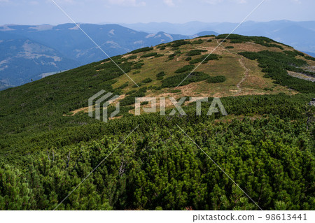 beautiful landscape mountains Carpathians in the Ukraine beautiful landscape mountains Carpathians in the Ukraine 98613441