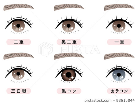 一組眼睛特寫（單眼、雙眼、後雙眼等） 98613844