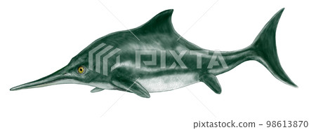 魚龍侏羅紀時期魚龍類中最著名的海豚類 98613870