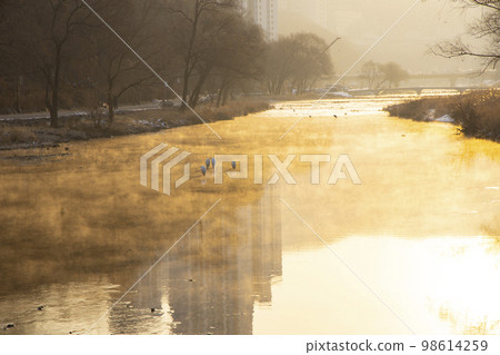 Winter waterside fog 98614259