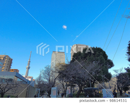錦絲公園東京晴空塔 錦絲公園東京晴空塔 98614531