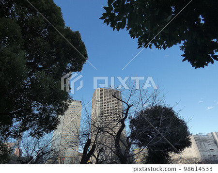 東京錦絲公園樹木和塔樓 東京錦絲公園樹木和塔樓 98614533
