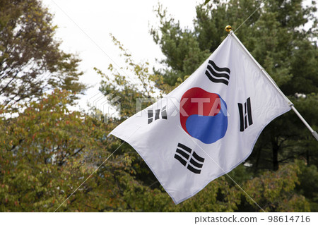 太極旗在風中飄揚 98614716