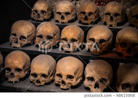 many skulls are human many skulls are human 98615008