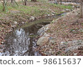 stream 98615637
