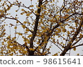 Rowey 98615641