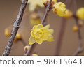 Rowey 98615643