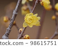 Rowey 98615751