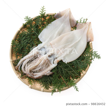 Overnight dried squid Overnight dried squid 98616432