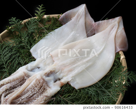 Overnight dried squid 98616433