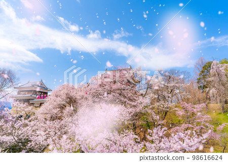 [櫻花暴風雪圖像] 信州上田城堡櫻花和櫻花暴風雪 [長野縣] 98616624