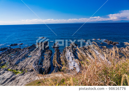 （神奈川縣）荒崎海灘磯 98616776