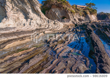 (Kanagawa Prefecture) Arasaki Beach Iso 98616809