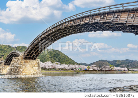 山口縣岩國市櫻花盛開的著名旅遊勝地錦帶橋 98616872