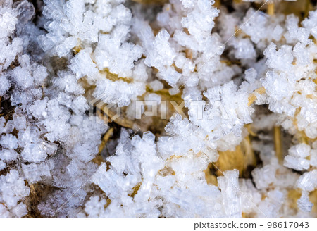 Frost Frost 98617043
