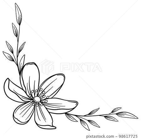 Botanical frames and corners of delicate plants and flowers Vector material Botanical frames and corners of delicate plants and flowers Vector material 98617725